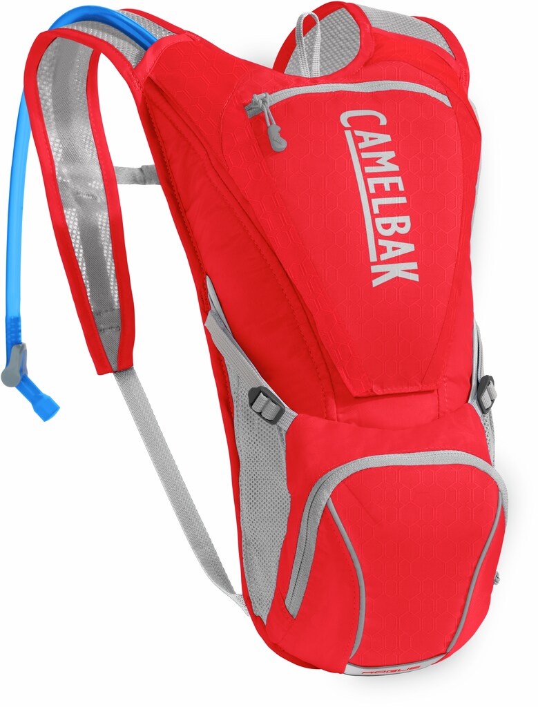 Camelbak Rogue