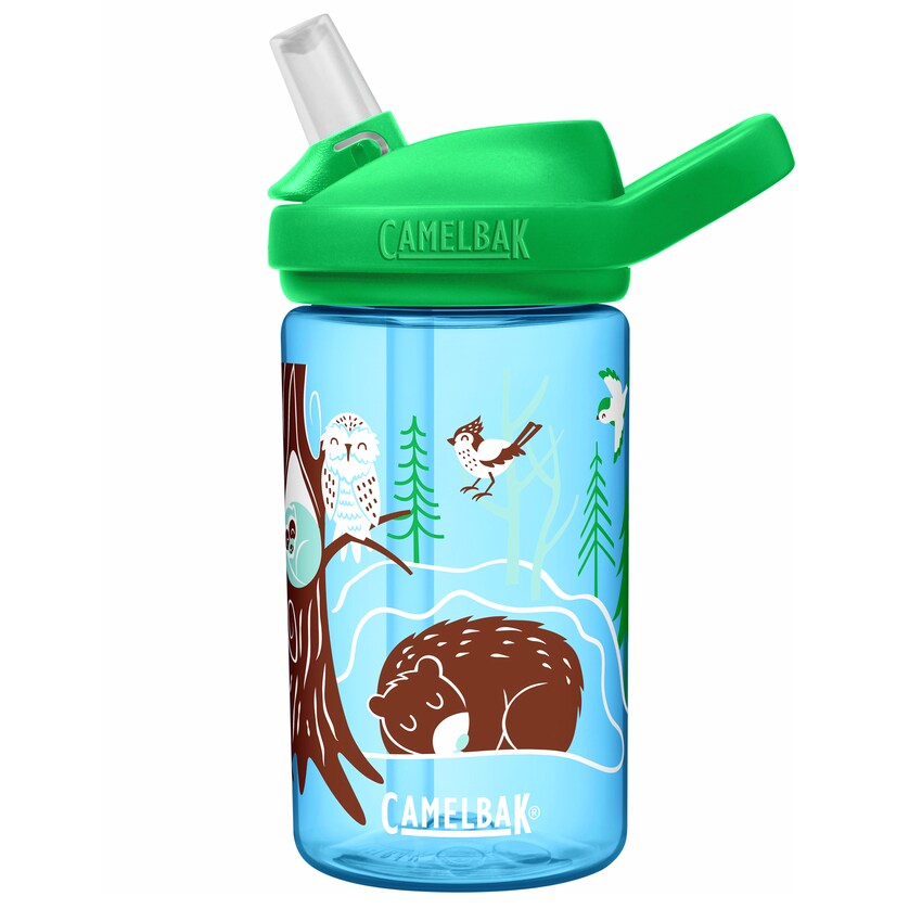 Camelbak Eddy+ kids